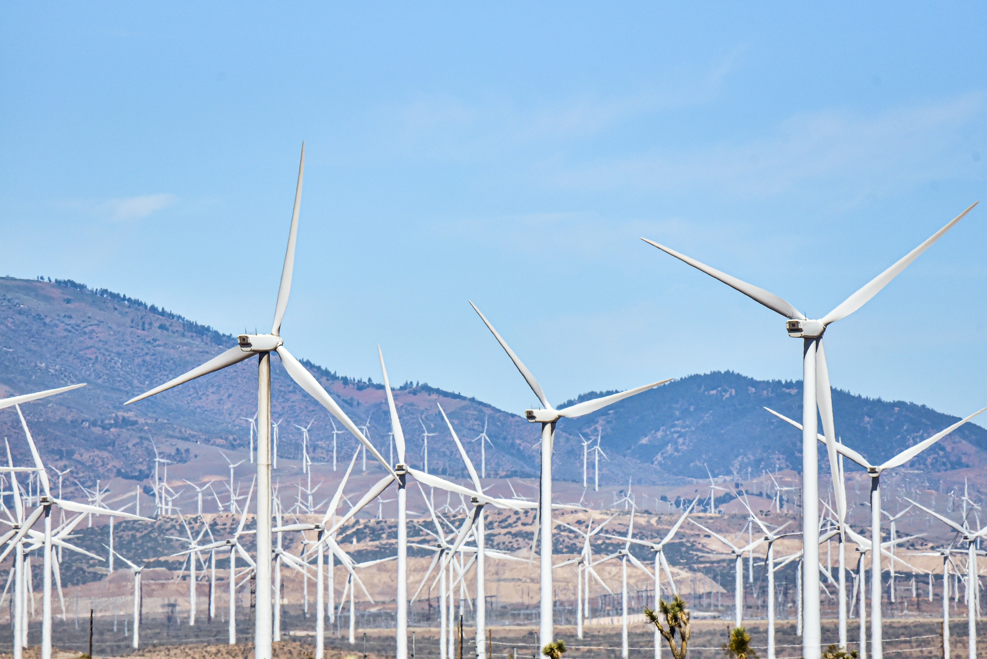 Proyecto Utility Scale de generación energética a gran escala conectado a la red eléctrica