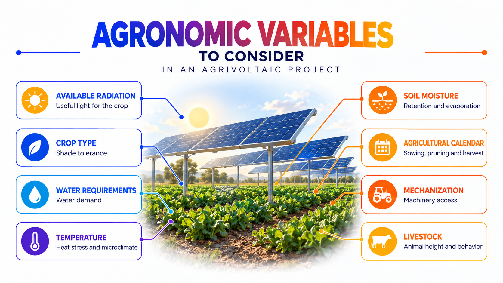 Infographic on the key agronomic variables in an agrivoltaic project involving solar panels and crops