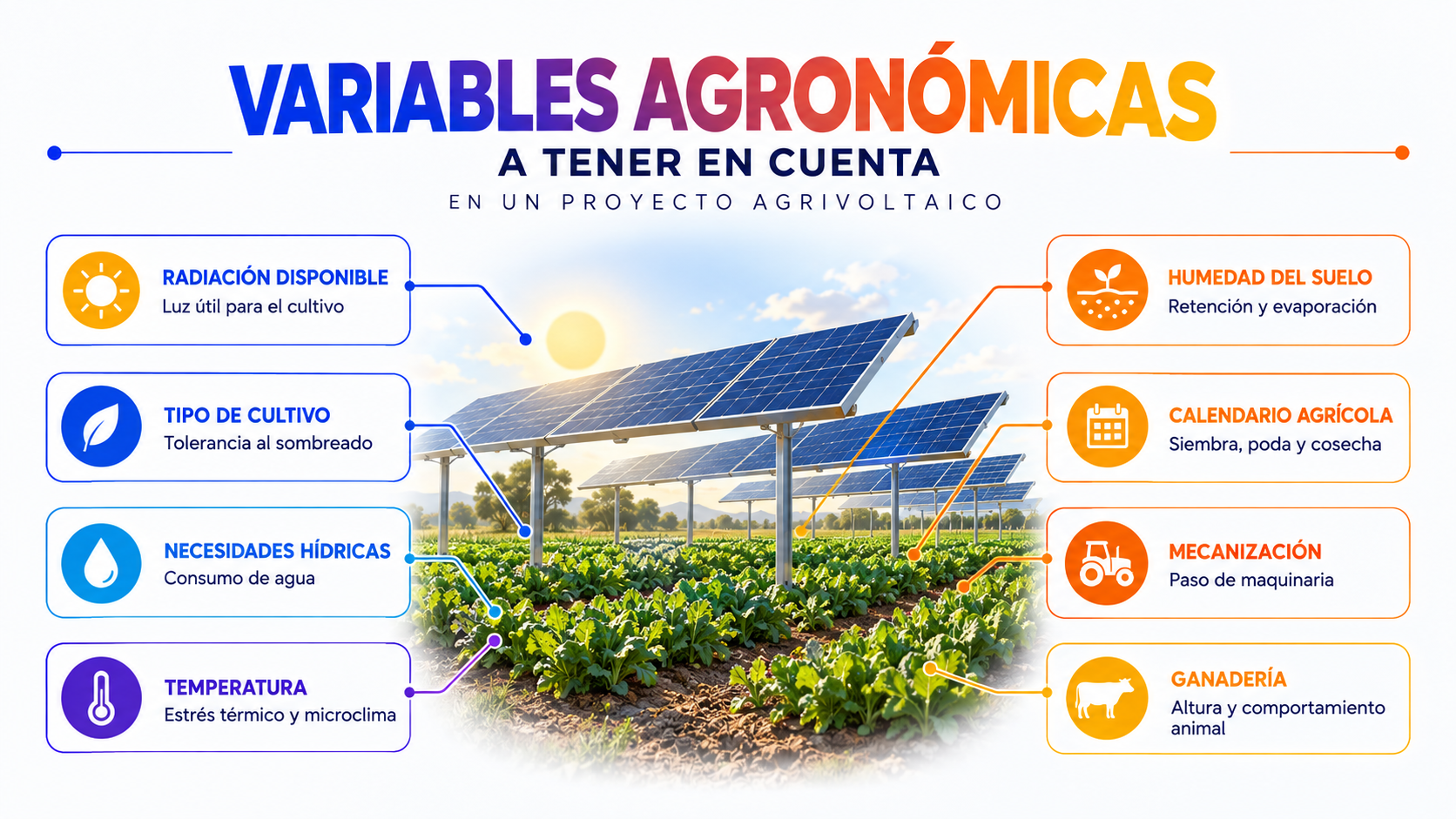 Infografía sobre las principales variables agronómicas en un proyecto agrivoltaico con paneles solares y cultivos